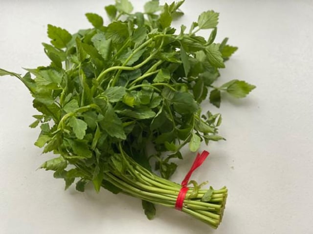 Đọc nhanh bài viết #1022012