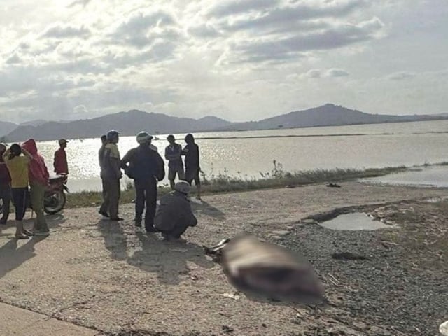 Ảnh bìa bài viết 1022116