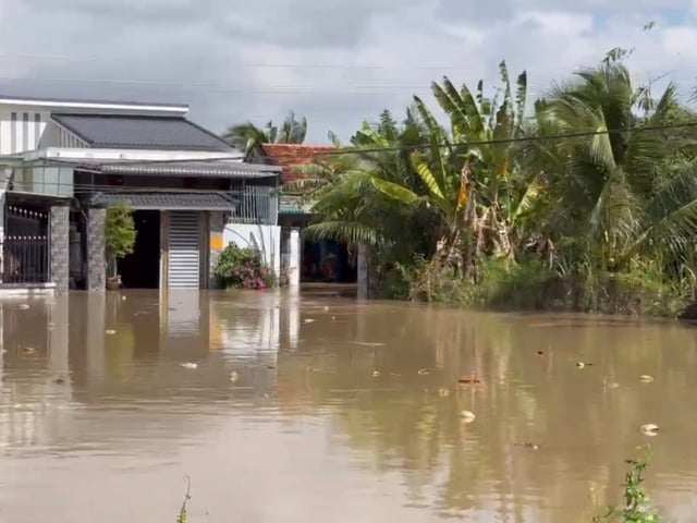 Đọc nhanh bài viết #1022153