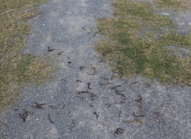 Đọc nhanh tin nổi bật 1022255