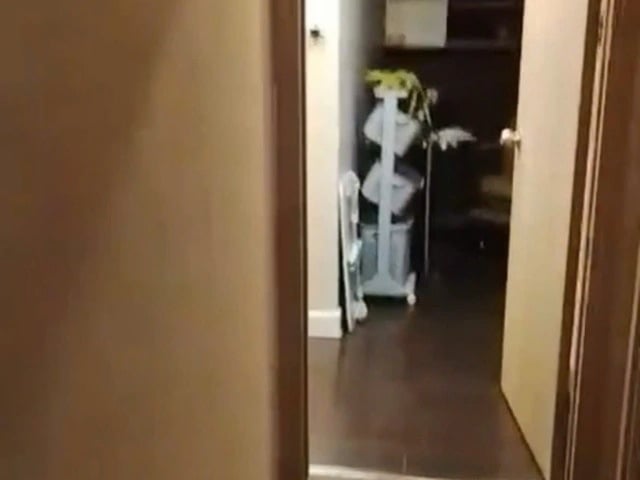 Ảnh bìa bài viết 1022334