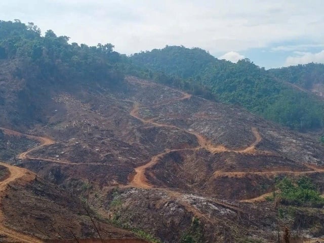 Ảnh bìa bài viết 1022335