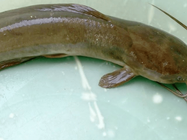 Đọc nhanh bài viết #1022893