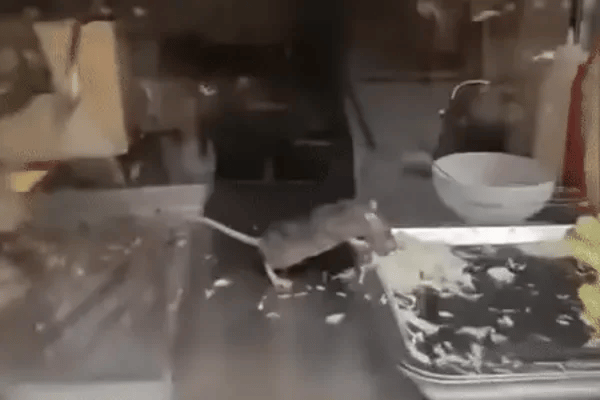 Đọc nhanh tin nổi bật 1023537