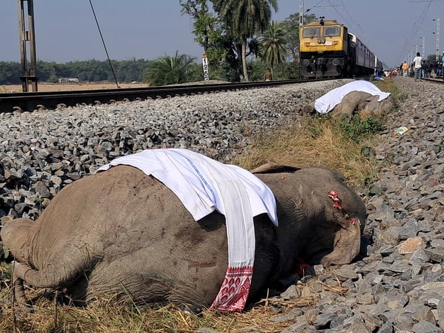 Đọc nhanh tin nổi bật 1023649