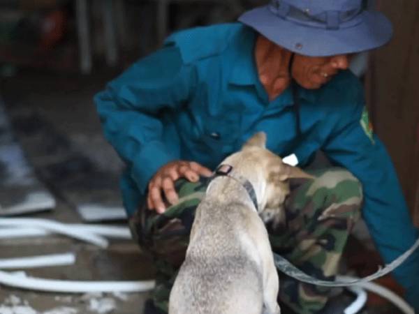 Đọc nhanh bài viết #1024166