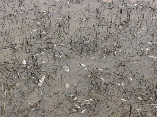 Đọc nhanh tin nổi bật 1024303