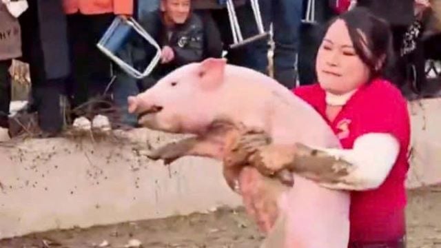 Đọc nhanh bài viết #1024744