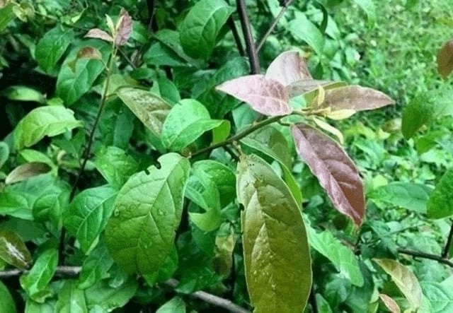 Đọc nhanh bài viết #1025972