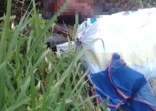 Đọc nhanh bài viết #1026074