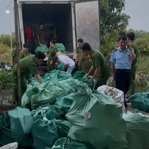 Đọc nhanh bài viết #1026373