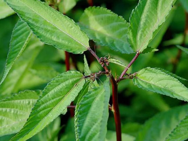 Đọc nhanh bài viết #1027011