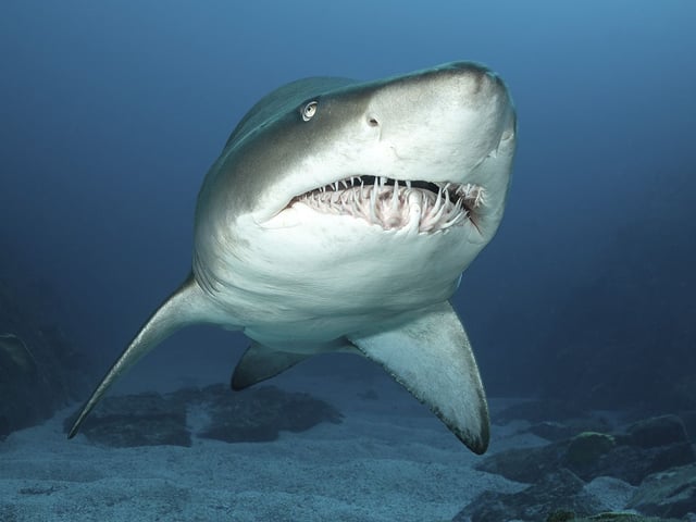 Đọc nhanh tin nổi bật 1027075