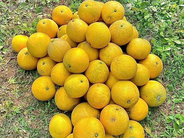 Đọc nhanh bài viết #1027278