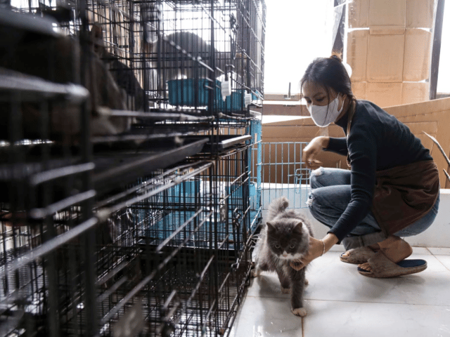 Đọc nhanh bài viết #1027366