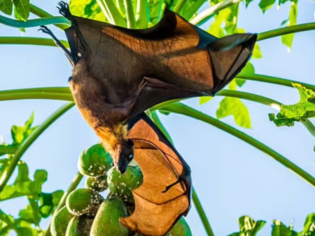 Đọc nhanh tin nổi bật 1027802