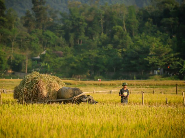 Đọc nhanh tin nổi bật 1028078