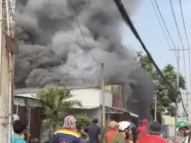 Đọc nhanh bài viết #1028243