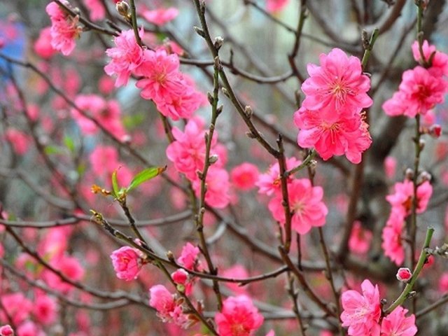 Đọc nhanh tin nổi bật 1028877