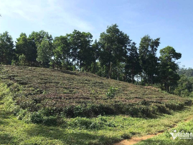 Docnhanh bài viết #1000141