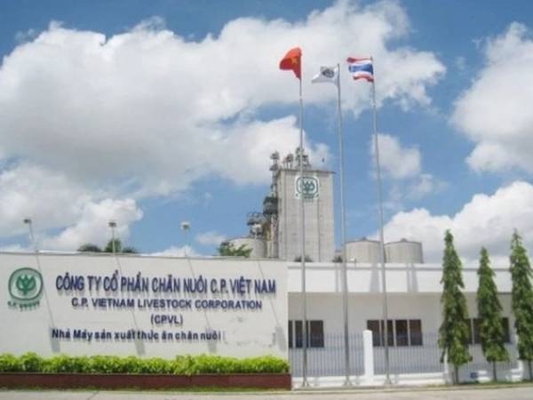 Docnhanh bài viết #1000242