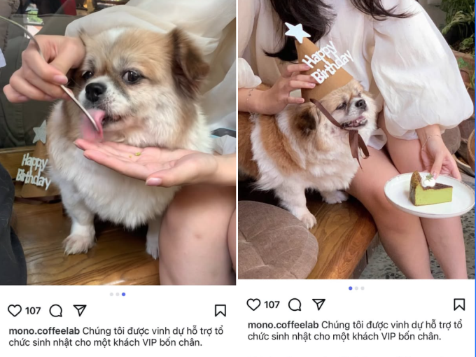 Docnhanh bài viết #1000530