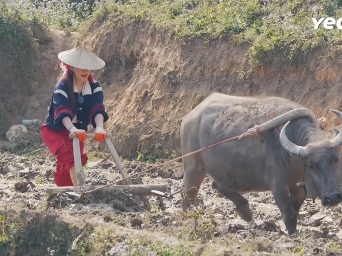 Docnhanh bài viết #1000580