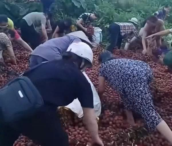 Docnhanh bài viết #1001063