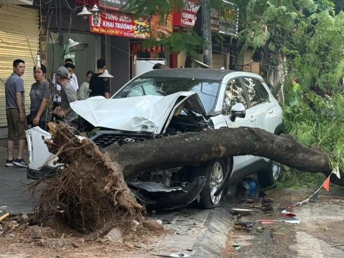 Docnhanh bài viết #1001269