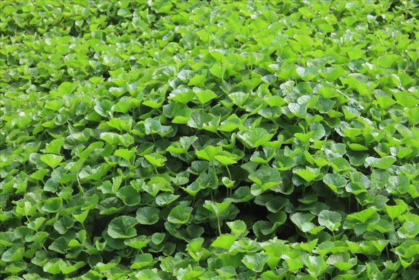 Docnhanh bài viết #1002471