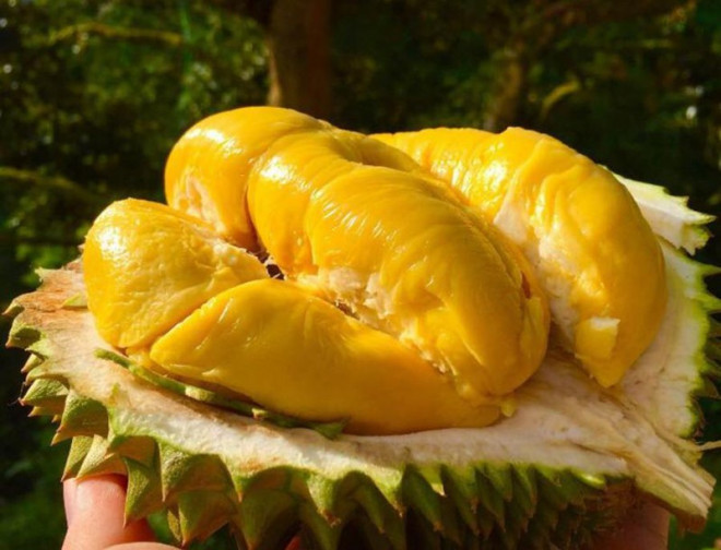 Docnhanh bài viết #1002858