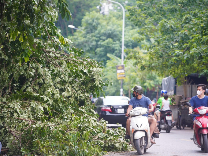 Docnhanh bài viết #1002882