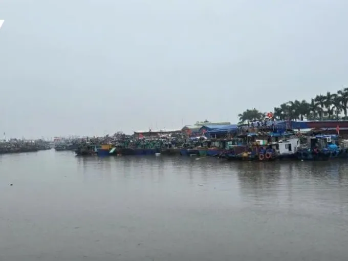 Docnhanh bài viết #1002987