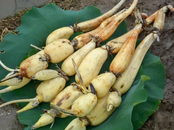 Docnhanh bài viết #1003177