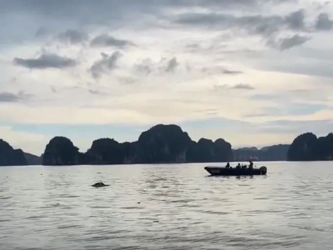 Docnhanh bài viết #1003593