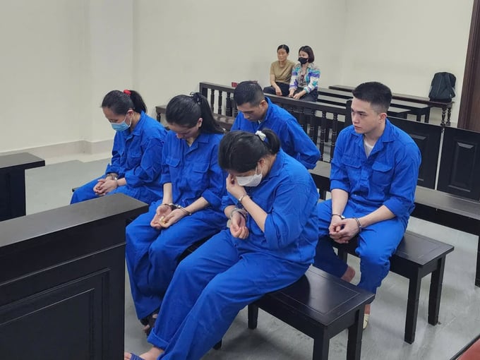 Ảnh bìa bài viết 1003993